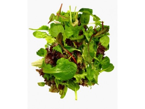 Baby Leaf Salad 125g (125g Packs)