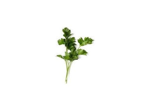 Parsley Flat Leaf (100g)