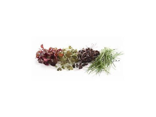 Micro Herbs (Per 30g Pk)