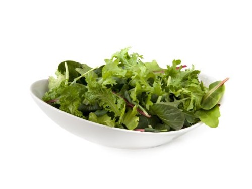 Lettuce Mix Salad - Catering Pack (500g)