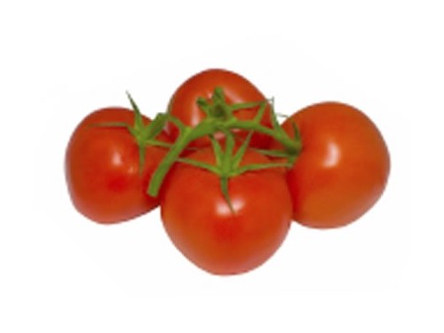 Tomatoes Vine (500g)